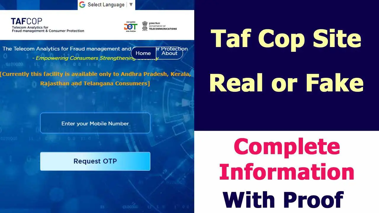 Taf Cop Site Review